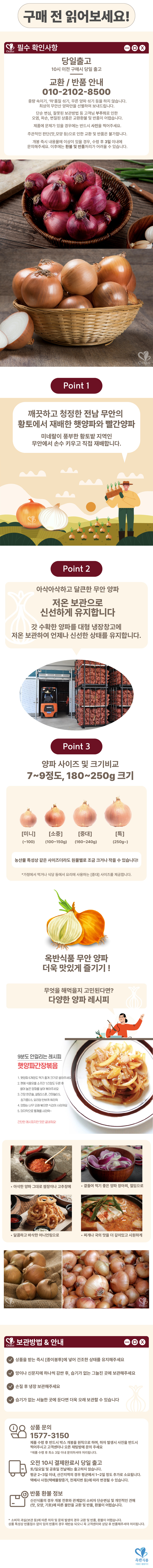 무안햇양파